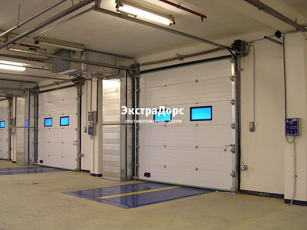 Подъемные автоматические противопожарные ворота с окнами в Раменском  купить