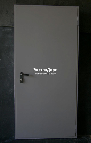 Дверь металлическая противопожарная EI 60 ДПМ 2 типа серая в Раменском  купить