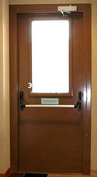 Противопожарная дверь EI 30 с антипаникой и стеклом в Раменском  купить